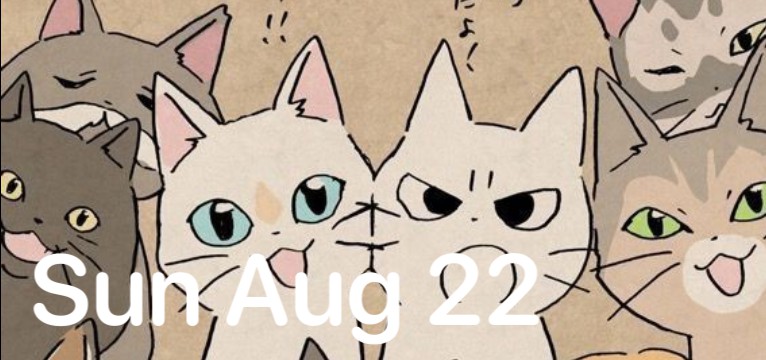 cat