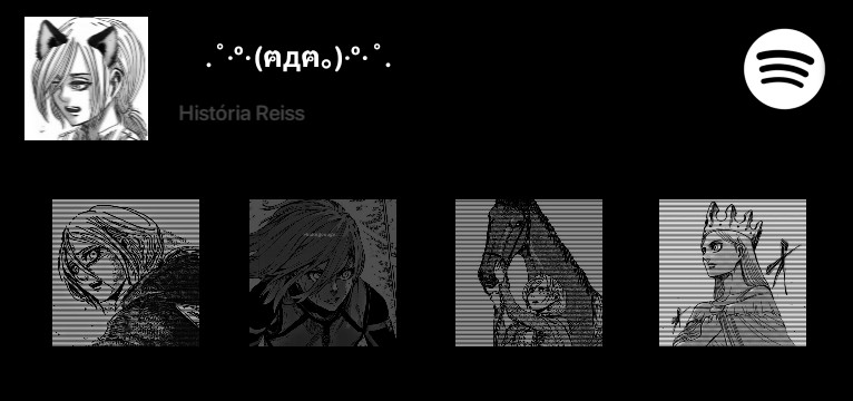 spotify copy SNK