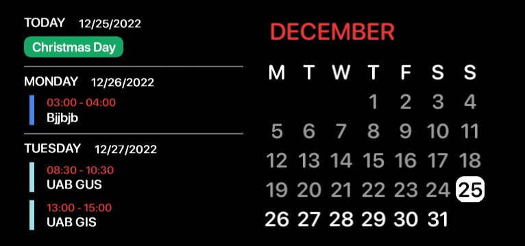 Calendar with Agenda