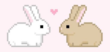 pink cute bunny