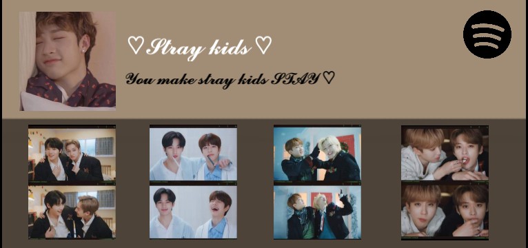 Spotify Skz
