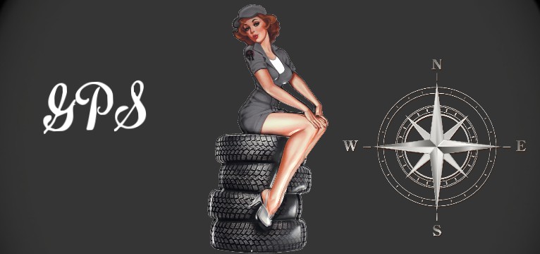 GPS Reifen Pin Up 