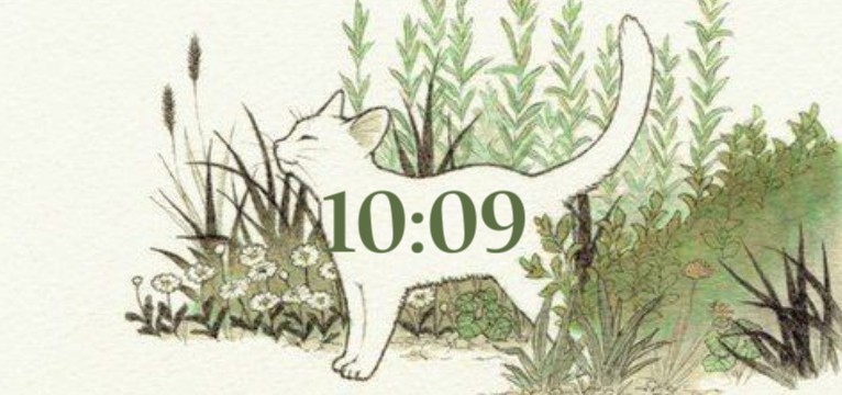 cat