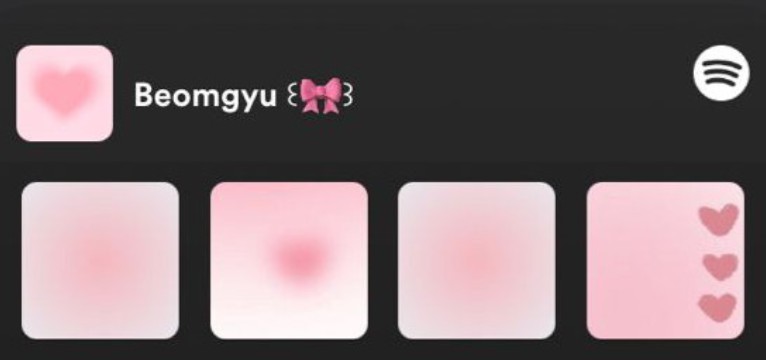 Widget IOS