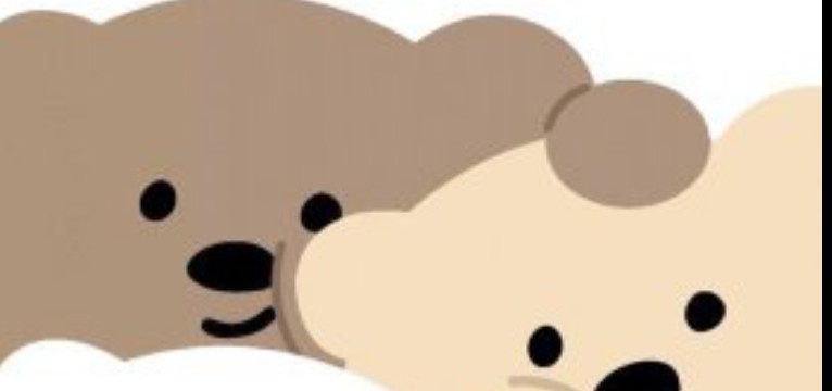teddy