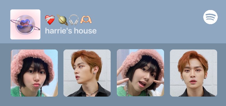 Spotify widget lino