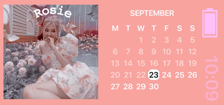 Rosie._.Posie Widget 