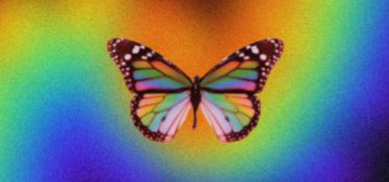 butterfly