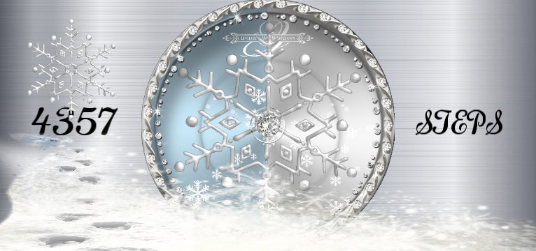 Steps 1 Winter Slider  Neu