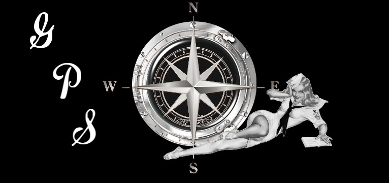 GPS Bullauge Pin Up 