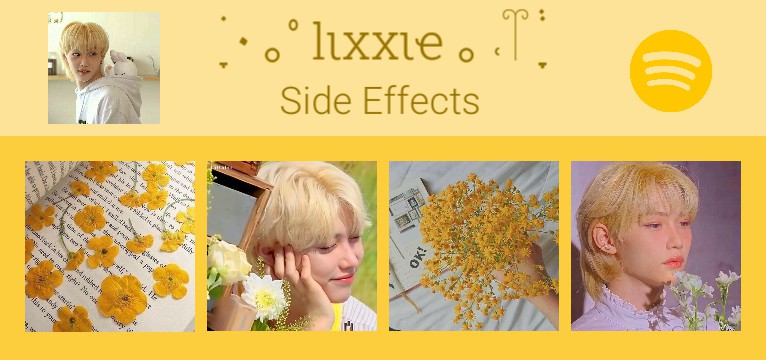 skz spotify Copy