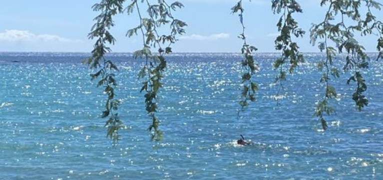 ocean scenery