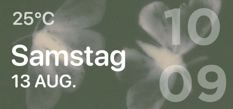 MAIN WIDGET GREEN