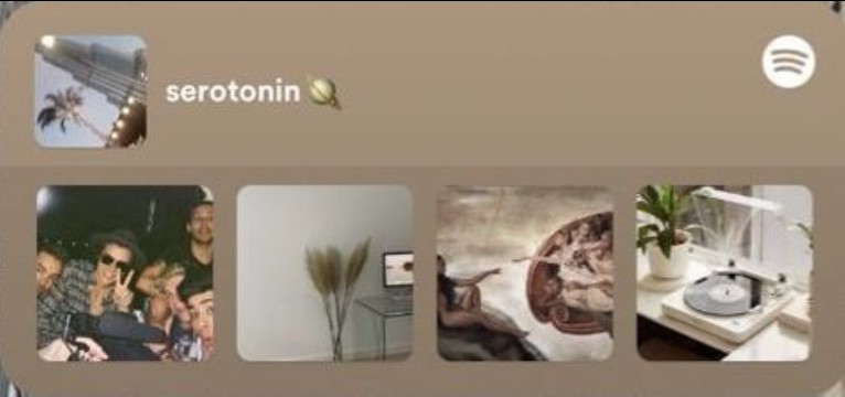 Spotify Widget iOS