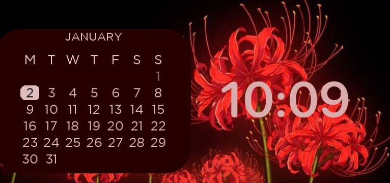 Spider lily calendar