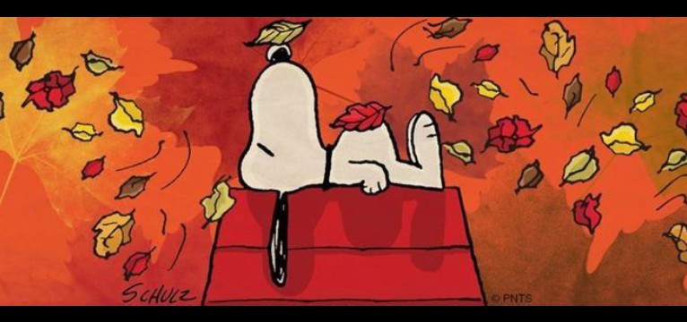 fall