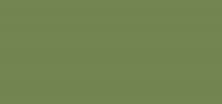 plain green