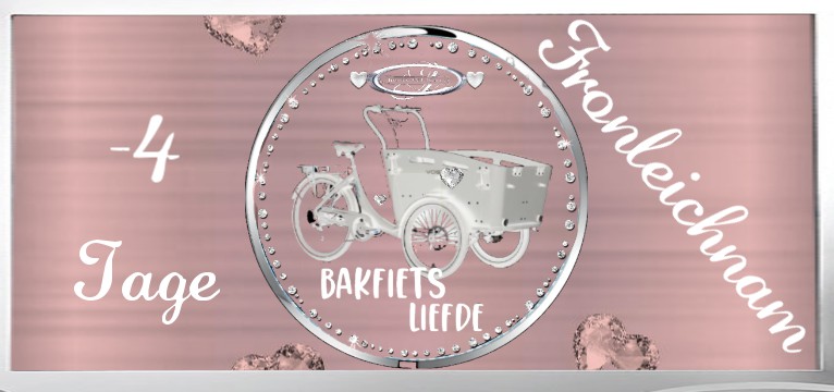 Counter Bakfiets Liefde Ucolor