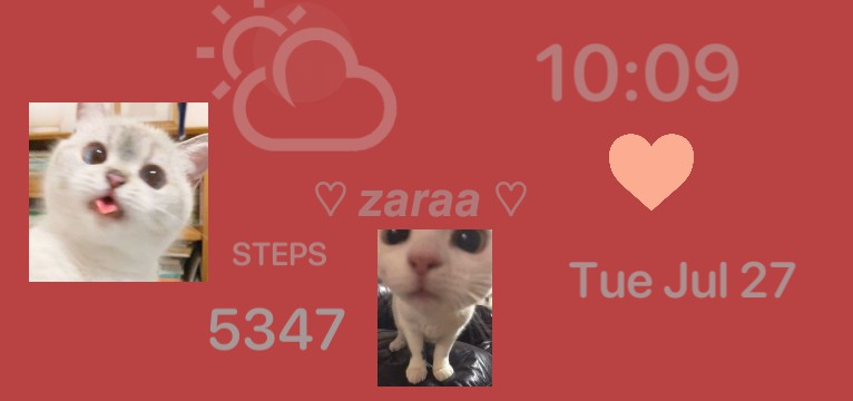zaras widget