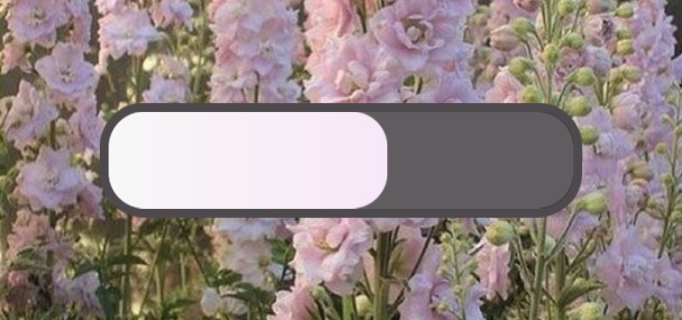 pink flowers 