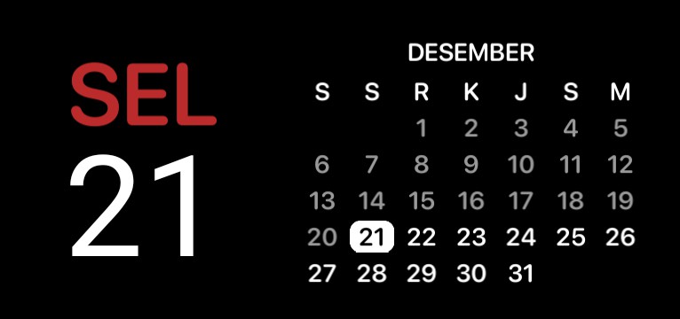 Date calendar 2 Copy