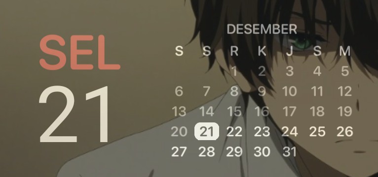 Date calendar 2 Copy