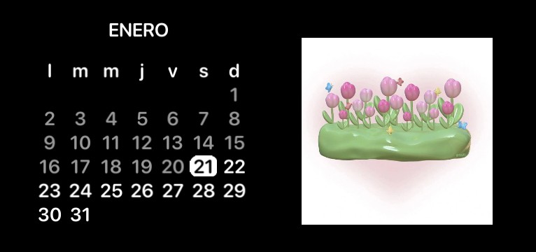 calendario 