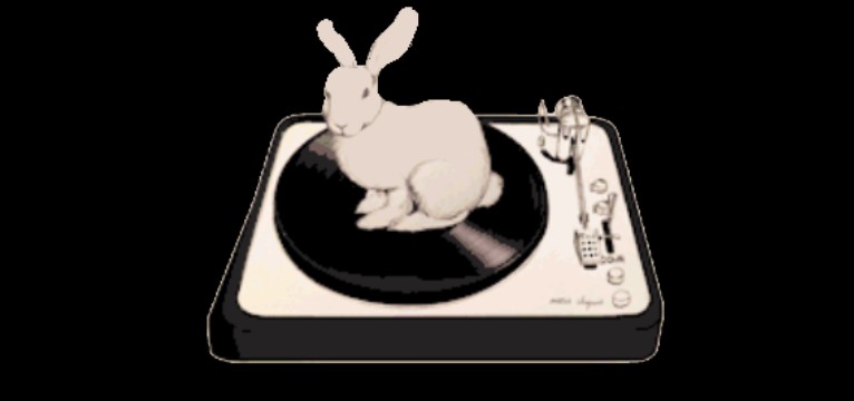 Rabbitttttt