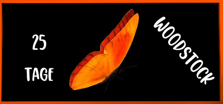 Counter Butterfly Orange 