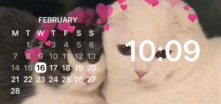 cats