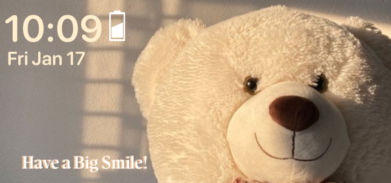Teddy widget 