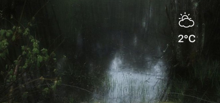 Dark nature