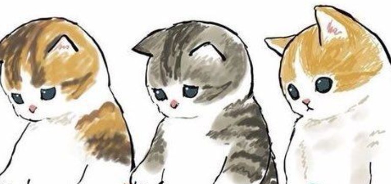 cute cat 