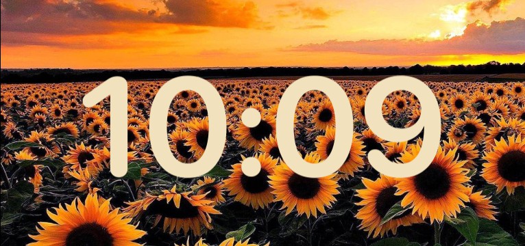 sunflower clock
