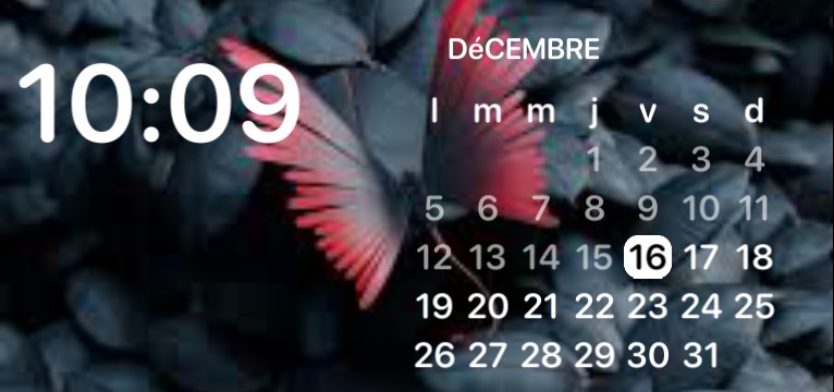  hour