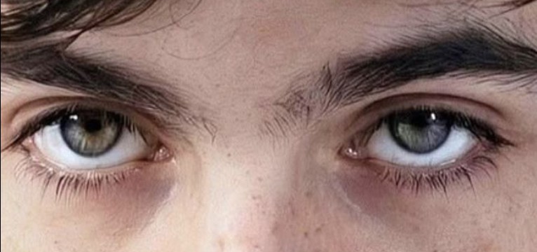 Timothee Chalamet