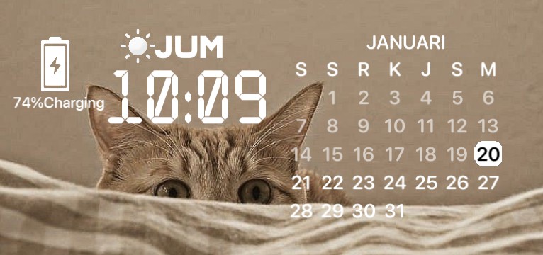 ana widget