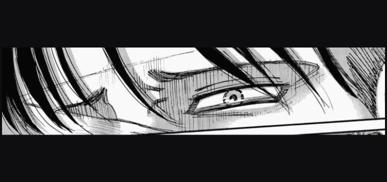 Levi manga