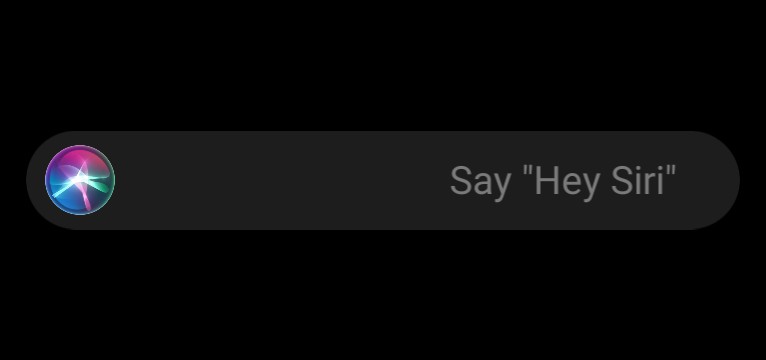 Hey Siri Copy