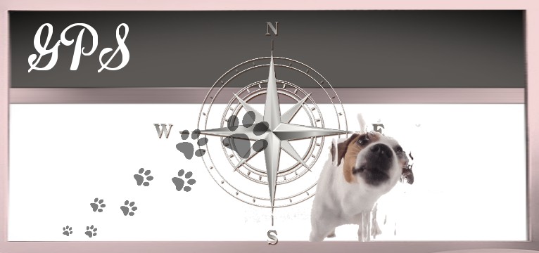 GPS Hund Schlecker Lecker 