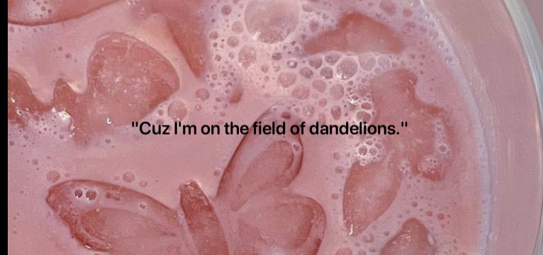 "Cuz Im on the field of dandelions."