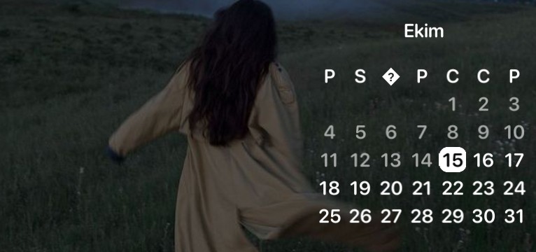 calendar widget