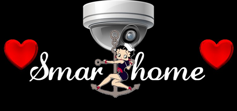 Smarthome Betty boop Seemannsbraut 