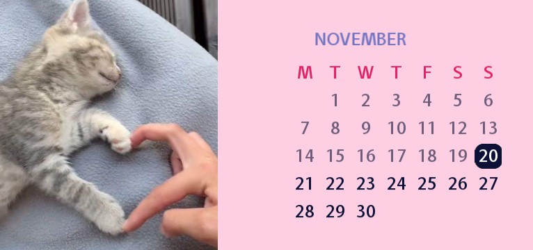 cute cat calendar