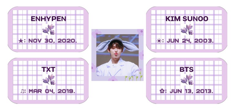 Morado 
