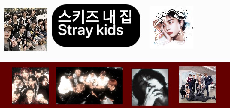 Stray kids