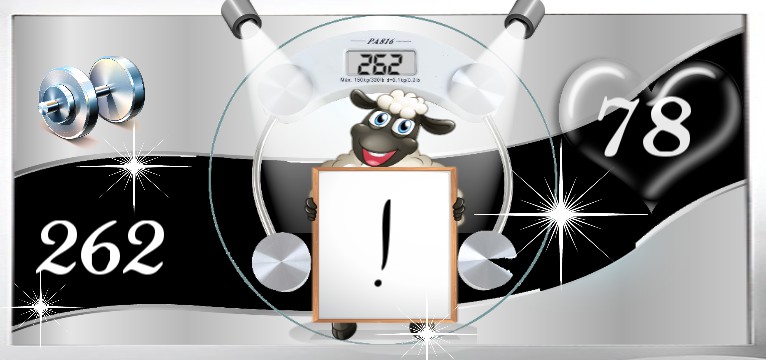 Herzschlag Kalorienverbrauch Diamond Black Sheep 