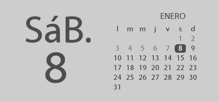 Calendar IOS design white