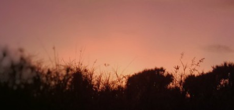 widget orange sunrise 