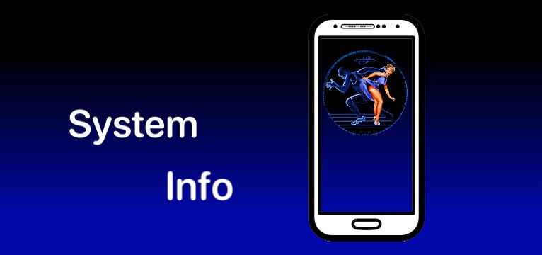 System Info Sport Pin Up 